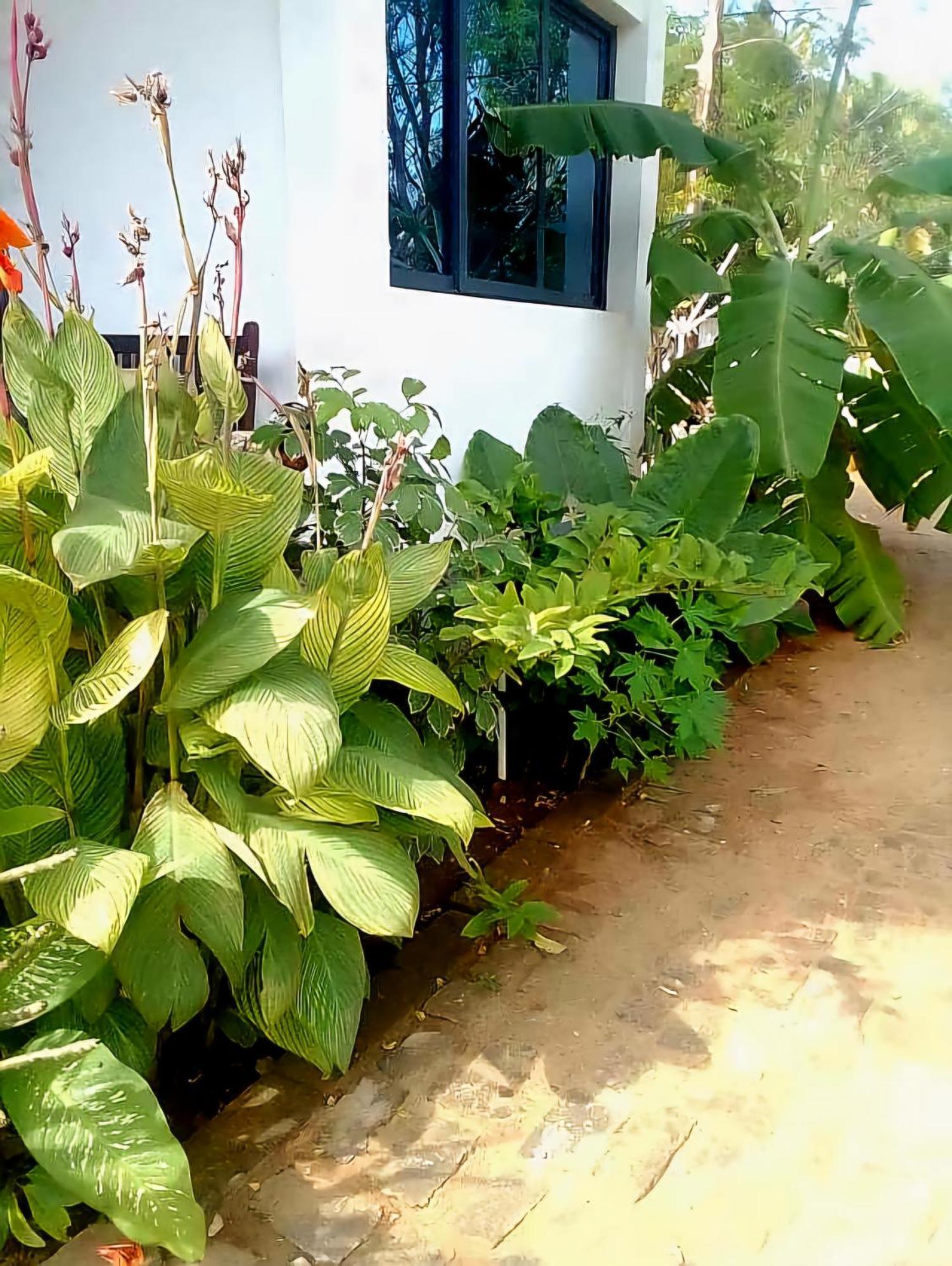 Bungalow Ramena Beach Antsiranana Andjamen Exterior photo